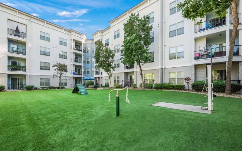 Expansive Dog Park
